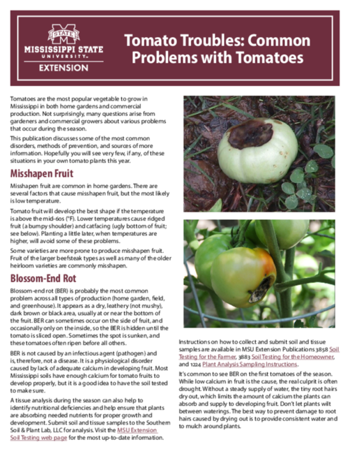 Preview of P2975_web.pdf