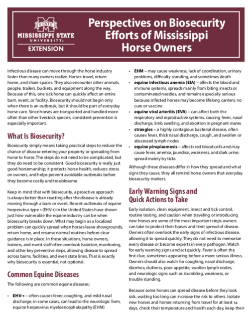 Preview of P4198_web.pdf