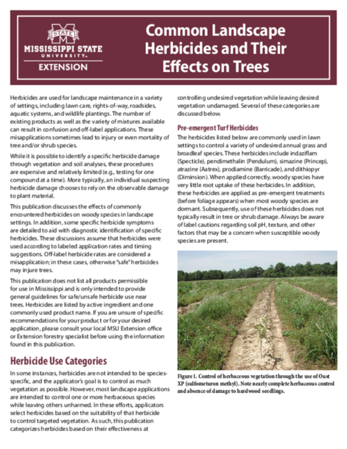 Preview of P3273_web.pdf