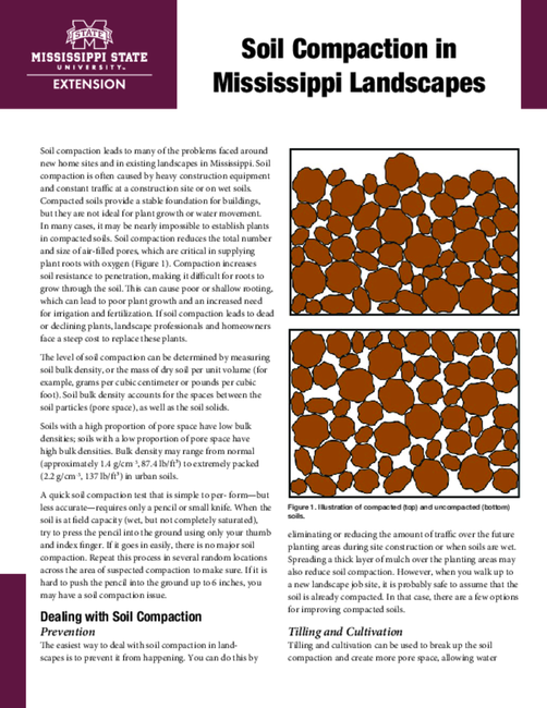 Preview of P3748_web