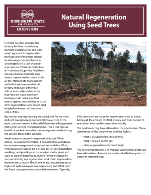 Preview of P1816_web.pdf