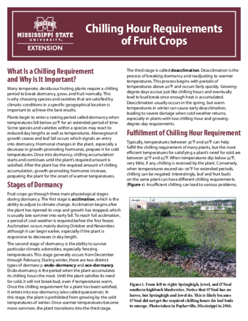 Preview of P3067_web.pdf