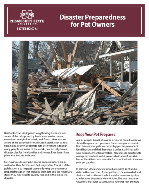 Preview of P2989_web.pdf