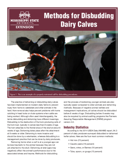 Preview of P3835_web