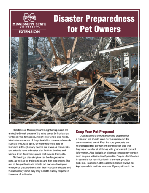 Preview of P2989_web