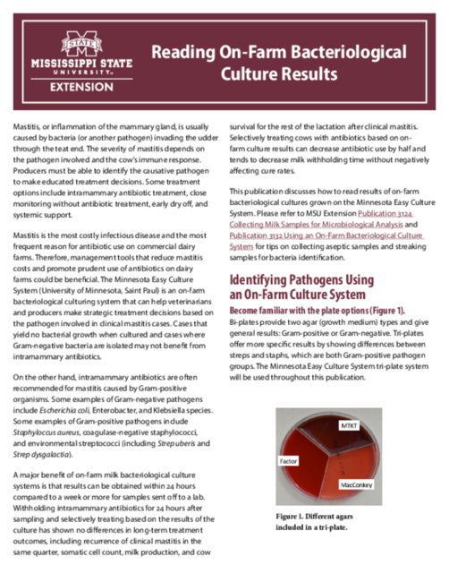 Preview of P3141_web.pdf