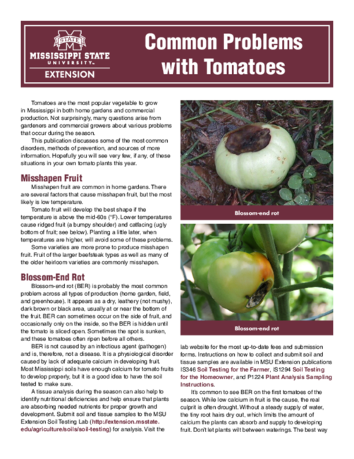 Preview of P2975_web