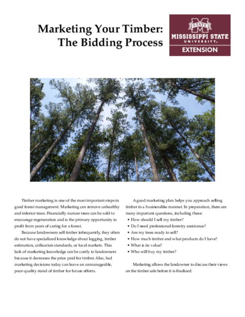 Preview of P1620_web