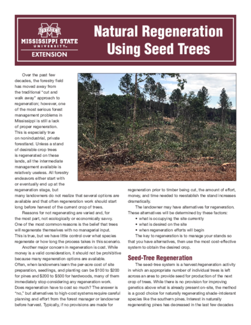 Preview of P1816_web