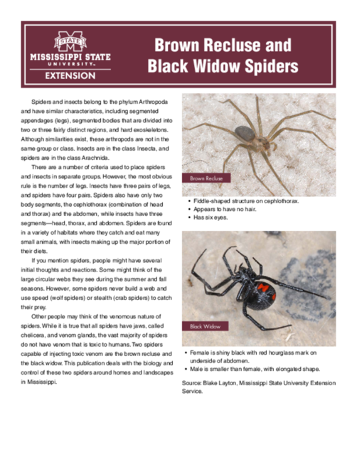 Preview of P2154_web