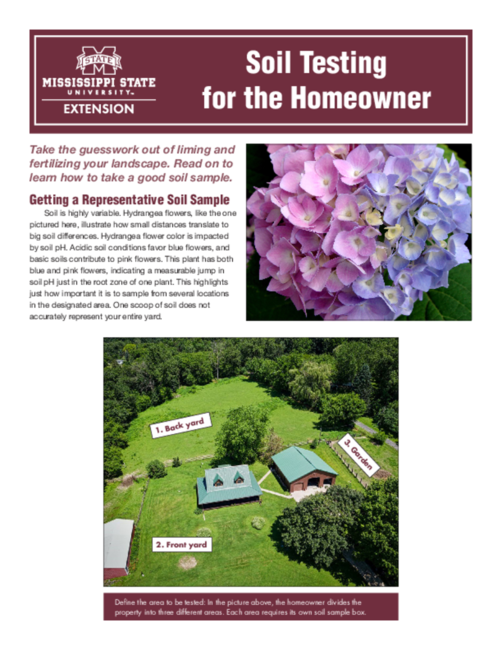Preview of P3883_web