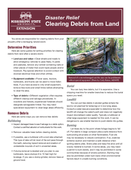 Preview of P3884_web