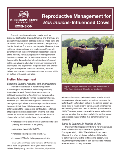 Preview of P3888_web