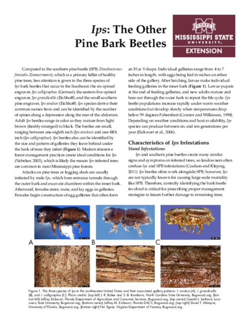 Preview of P2876_web