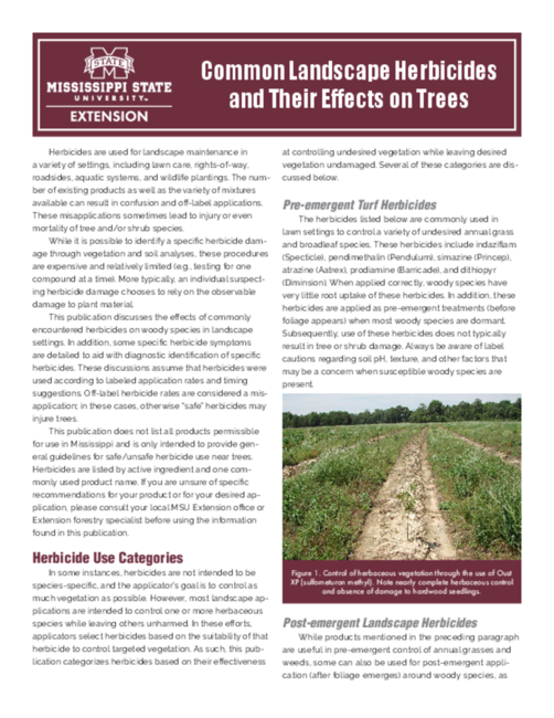 Preview of P3273_web