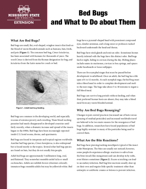 Preview of P2546_web