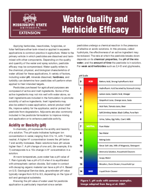 Preview of P3896_web