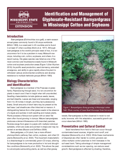 Preview of P3917_web