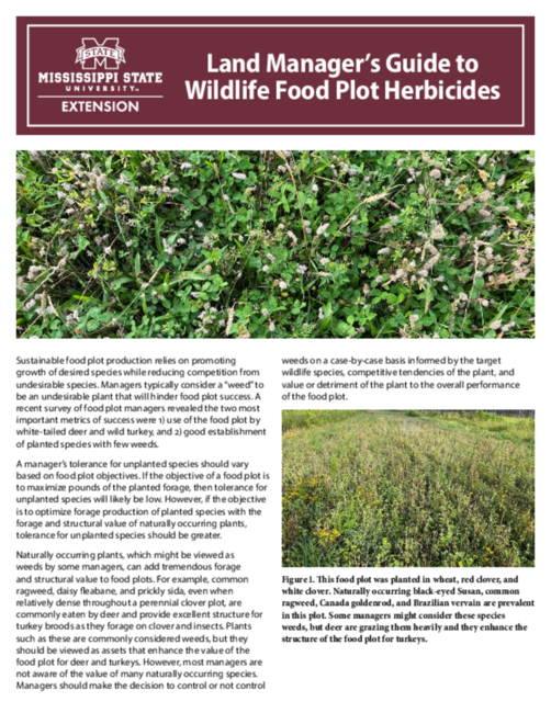 Preview of P4178_web.pdf