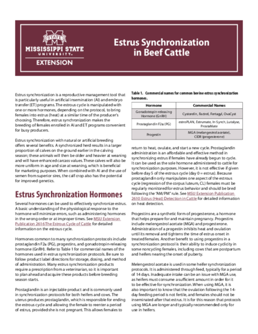Preview of P2614_web