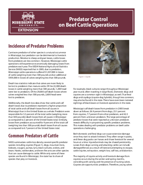 Preview of P2661_web