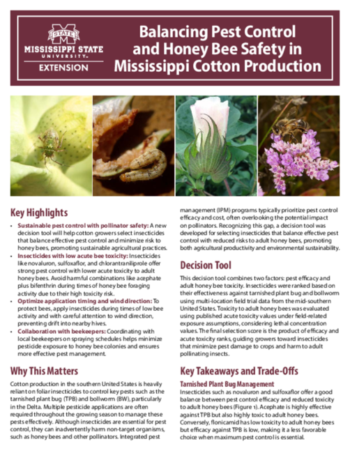 Preview of P4207_web.pdf