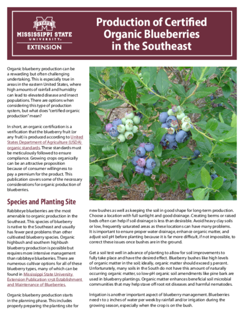 Preview of P4208_web.pdf