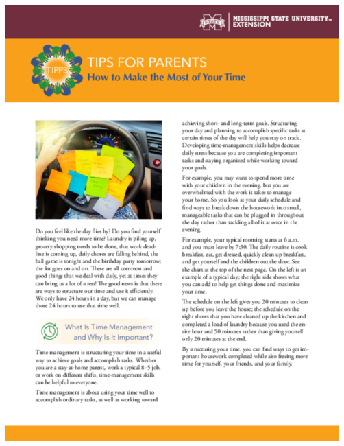 Preview of P4007_TIPPS_kp_bb_web