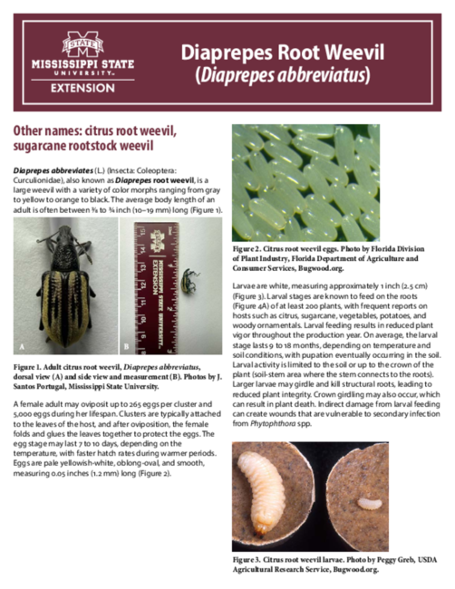 Preview of P4209_web.pdf