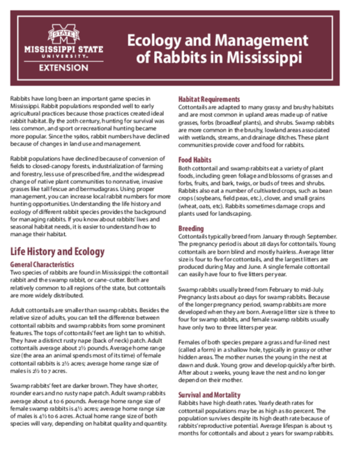 Preview of P2467_2026_web.pdf