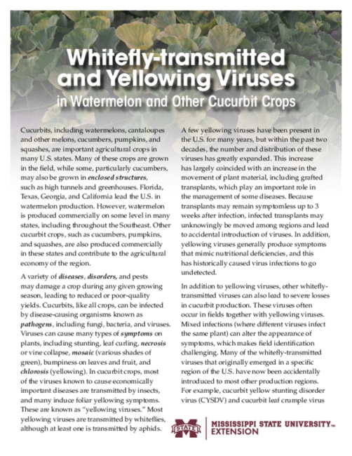 Preview of P3439_web_20261005.pdf