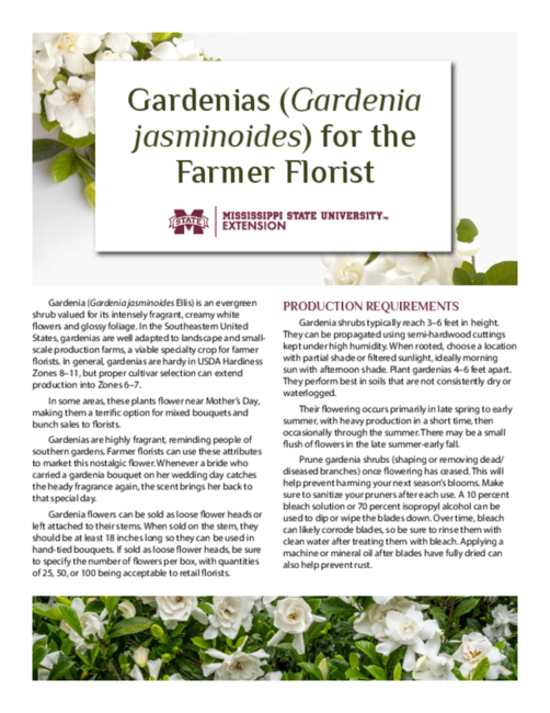 Preview of P4225_web.pdf