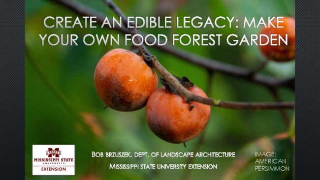 Preview of Mississippi Smart Landscapes - Create an Edible Legacy: Make Your Own Food Forest Garden