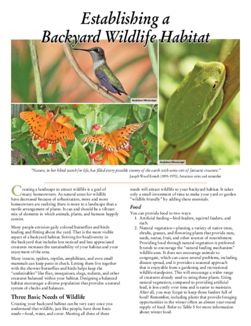 Preview of P2402_web.pdf